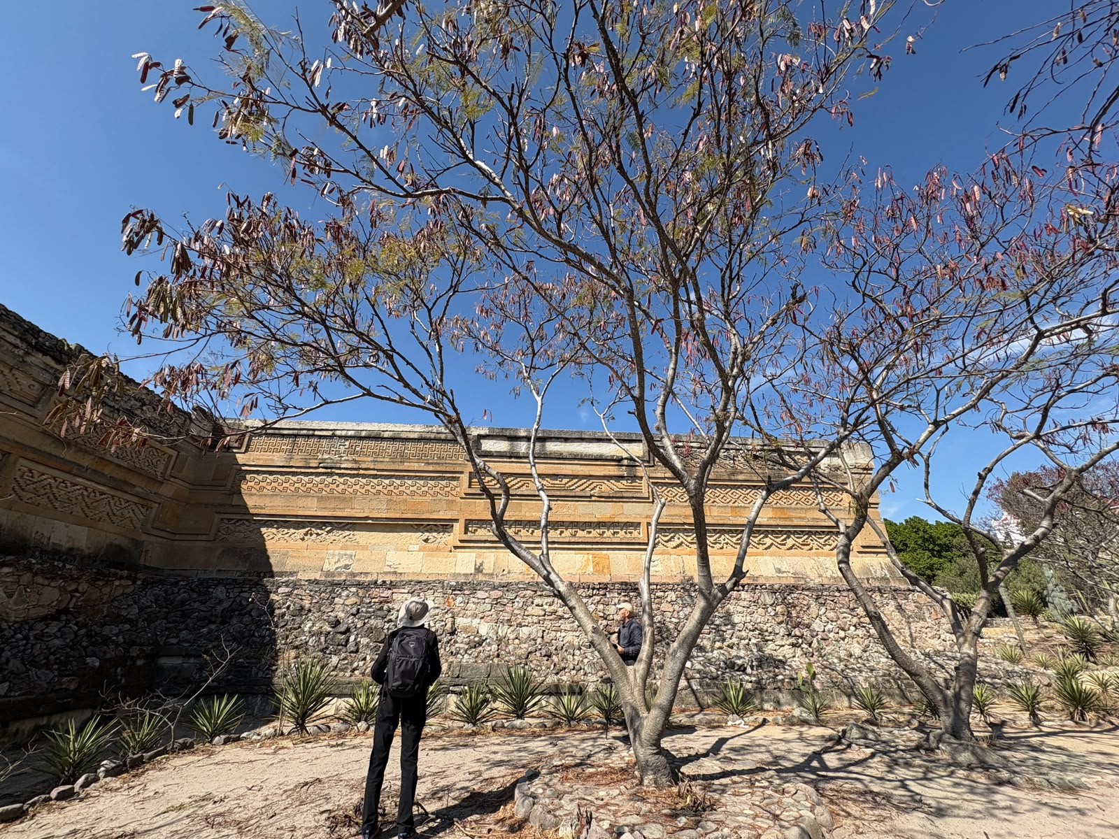 Ruta 7: Ruta Mitla Corto: Historia y Símbolos de Valles 3